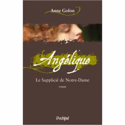 ISBN 9782809802139, Français, Livre broché, 369 pages