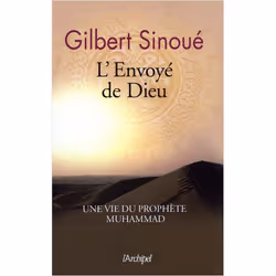 ISBN 9782809817379, Français, Livre broché, 317 pages
