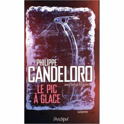 ISBN 9782809820607, Français, Livre broché, 293 pages