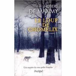 ISBN 9782809823196, Français, Livre broché, 294 pages