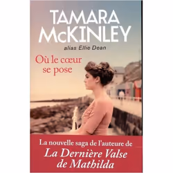 ISBN 9782809825206, Français, Livre broché, 378 pages