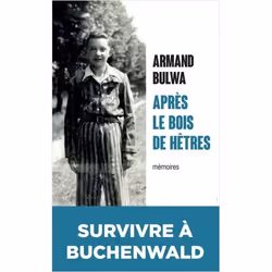 ISBN 9782809827767, Français, Livre broché, 176 pages
