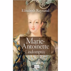 ISBN 9782809827828, Français, Livre broché, 456 pages
