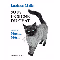 ISBN 9782809840513, Français, Livre broché, 216 pages