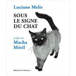 Sous le signe du chat (Relié)