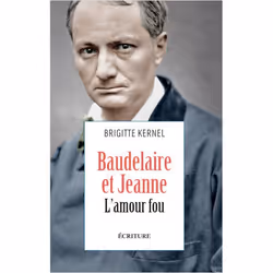 ISBN 9782809840902, Français, Livre broché, 300 pages