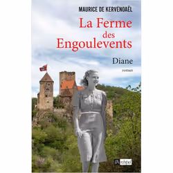 ISBN 9782809843491, Français, Livre broché, 416 pages