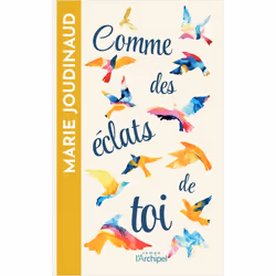 ISBN 9782809843507, Français, Livre broché, 350 pages