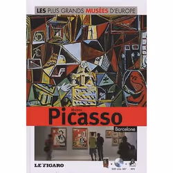 ISBN Musee Picasso, Barcelone, histoire, Français