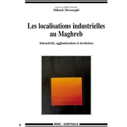 Les localisations industrielles au maghreb - attractivité, agglomération et territoires