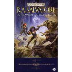 Mercenaires, T2 : La Promesse du Roi-Sorcier
