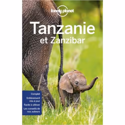 ISBN 9782816171327, Français, Livre broché, 448 pages