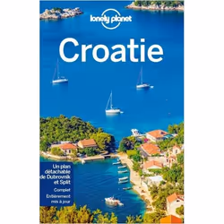 ISBN 9782816179033, Français, Livre broché, 240 pages