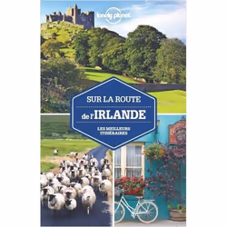 ISBN 9782816186154, Français, Livre broché, 432 pages
