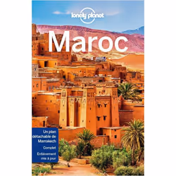 ISBN 9782816186390, Français, Livre broché, 560 pages
