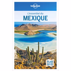 ISBN 9782816186512, Français, Livre broché, 352 pages