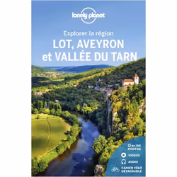 ISBN 9782816192537, Français, Livre broché, 352 pages