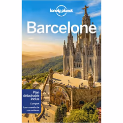 ISBN 9782816192889, Français, Livre broché, 336 pages
