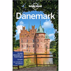 ISBN 9782816193114, Français, Livre broché, 336 pages