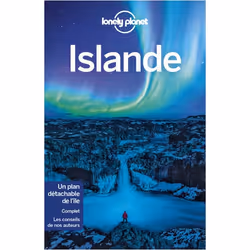 ISBN 9782816193152, Français, Livre broché, 480 pages