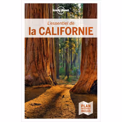 ISBN 9782816193367, Français, Livre broché, 352 pages
