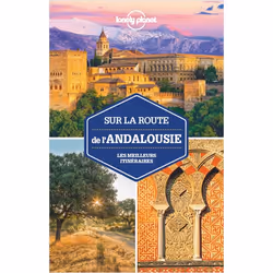 ISBN 9782816193411, Français, Livre broché, 304 pages