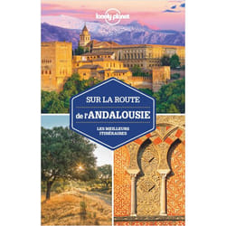 ISBN 9782816193411