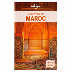 ISBN 9782816193701, Français, Livre broché, 336 pages