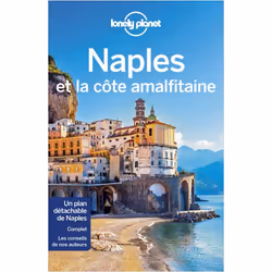 ISBN 9782816195286, Français, Livre broché, 304 pages