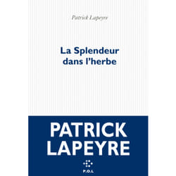 P.O.L Editeur LA SPLENDEUR DANS L?HERBE livre Français Livre broché