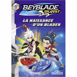 ISBN 9782821208537, Français, Livre broché, 96 pages