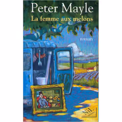 ISBN 9782841110919, Français, Livre broché, 332 pages