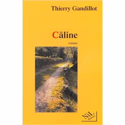 ISBN 9782841111916, Français, Livre broché, 144 pages