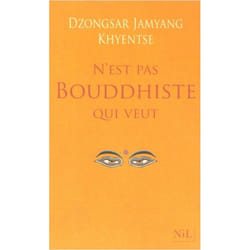 N'est pas bouddhiste qui veut (Broché)