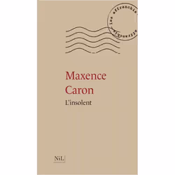 ISBN 9782841119509, Français, Livre broché, 608 pages