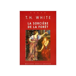 La quête du roi Arthur Tome 2 - la sorcière de la forêt