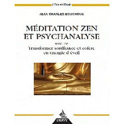 ISBN Meditation Zen Et Psychanalyse; Transformer Souffrance Et Colere En Energie D'Eveil