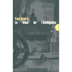 Le bilan de l'intelligence
