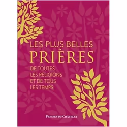 ISBN 9782845927544, Français, Livre broché, 427 pages