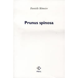 Prunus spinosa