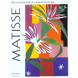 ISBN Matisse - De La Couleur A L'Architecture, Art &amp; design, Français, Livre broché