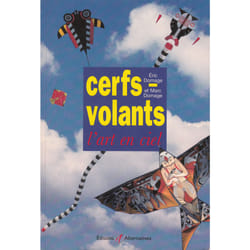 Cerfs-volants - l'art en ciel