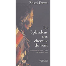 La splendeur des chevaux du vent