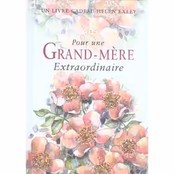 ISBN Pour Une Grand-Mere Extraordinaire (Edition 2004), poésie, Français, Livre broché