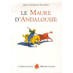 Les maures d'andalousie