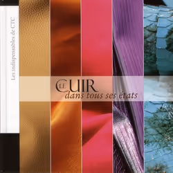ISBN Le Cuir Dans Tous Ses Etats, Art &amp; design, Français, Livre broché