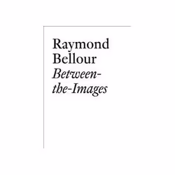 ISBN Raymond Bellour: Between-the-Images, Art & design, Anglais, 240 pages
