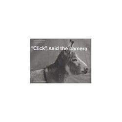 ISBN Click: Said The Camera livre Photographie Anglais