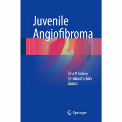 ISBN 9783319453415, Anglais, Couverture rigide, 299 pages