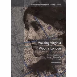 ISBN 9783319556710, Anglais, Couverture rigide, 247 pages